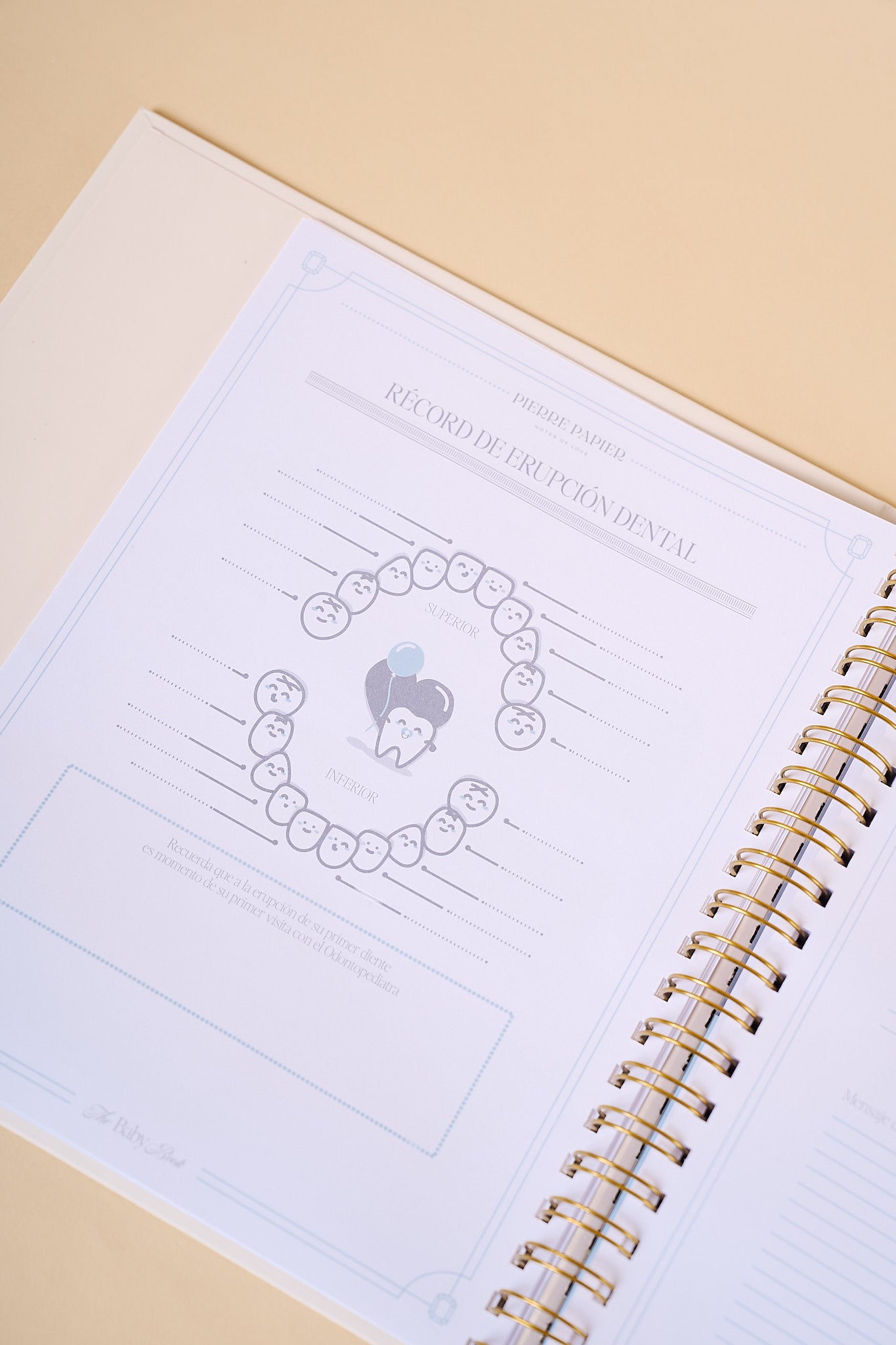 The Baby Book & Journal