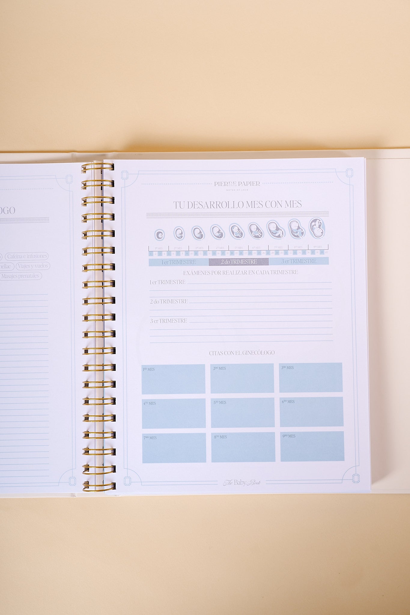 The Baby Book & Journal