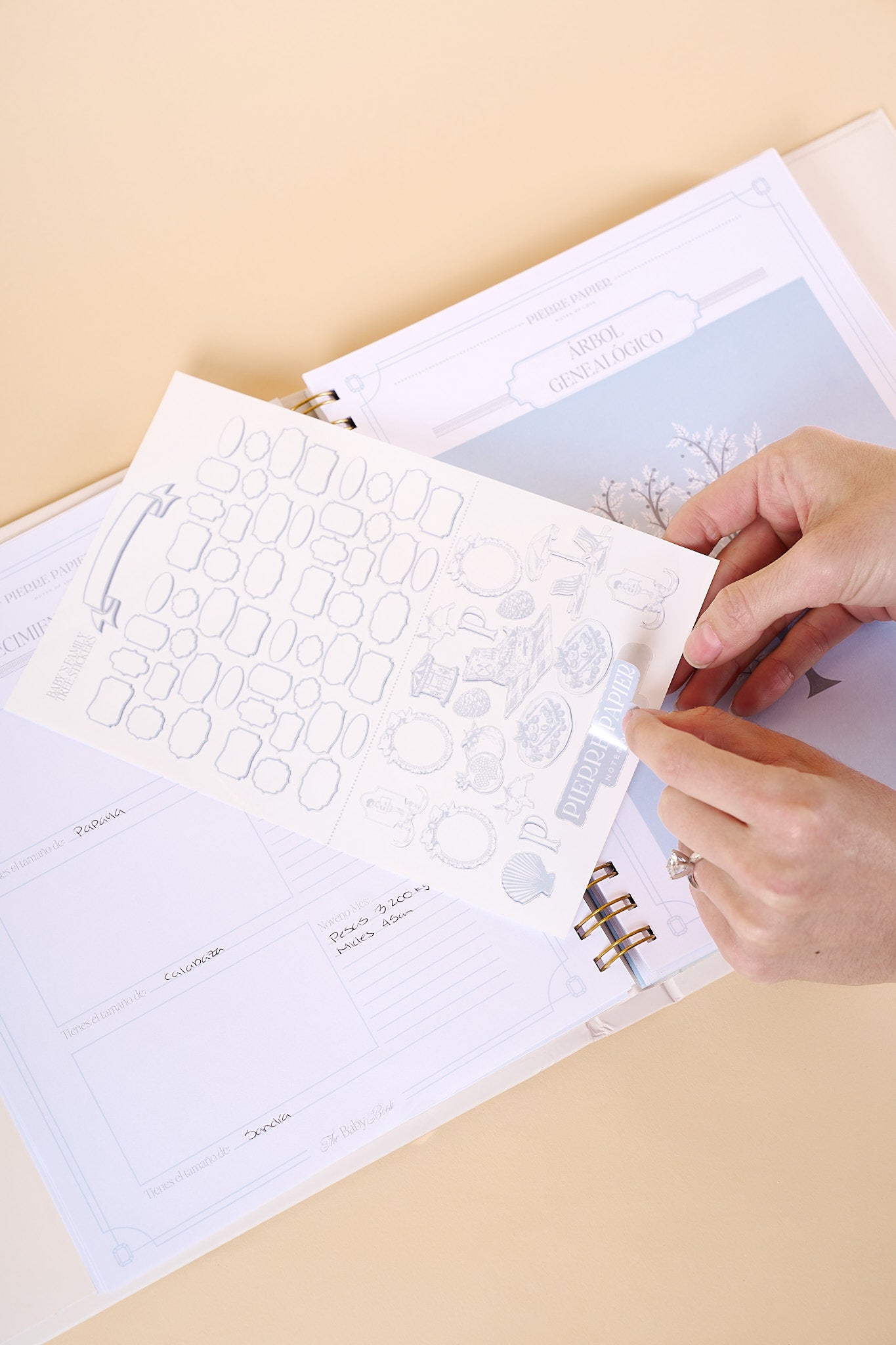 The Baby Book & Journal