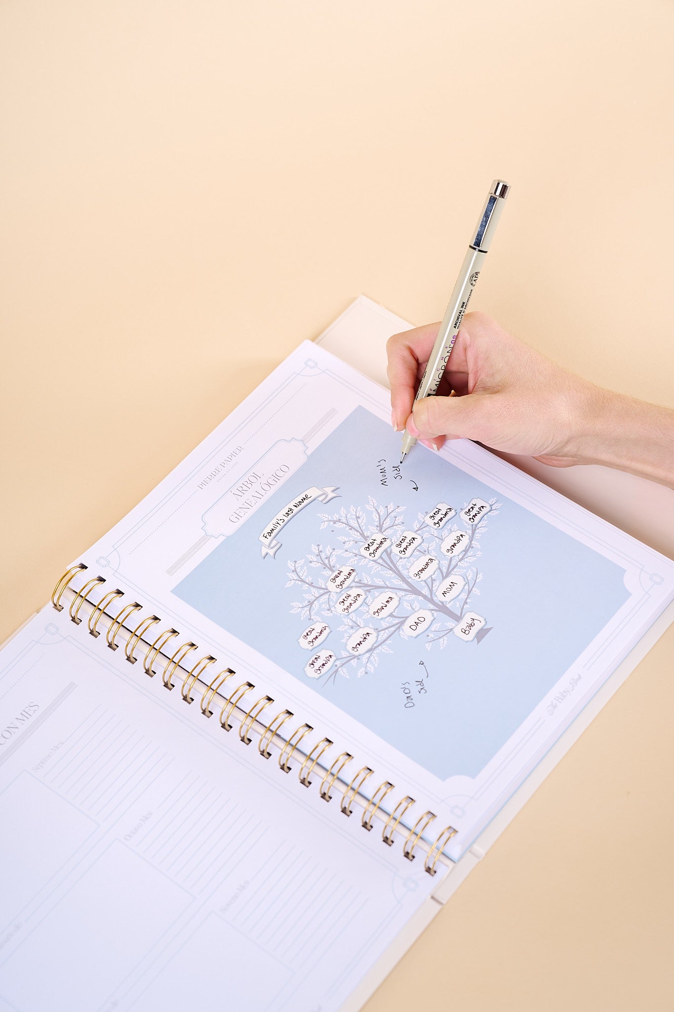 The Baby Book & Journal