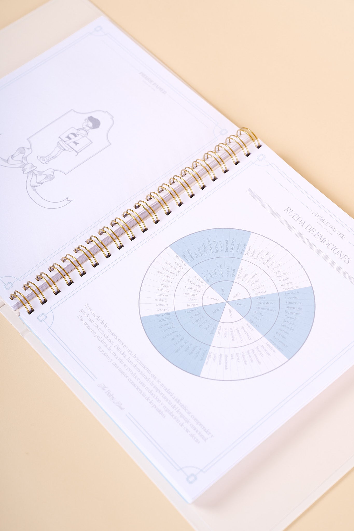 The Baby Book & Journal